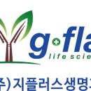 지플러스 이미지
