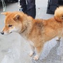 부곡중앙길 이미지