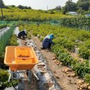 산우물농장 이미지