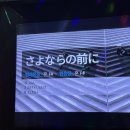 (주)애니힐 | 상반기 이모저모