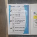 두디네일(DODI NAIL)