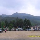 대강초 올산분교 이미지