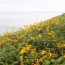 혁신농장 이미지