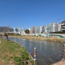 동래구 자전거무료대여소 | 부산 동래구 온천천 자전거 무료대여소 위치 이용방법