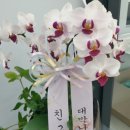 올마이틴팅