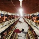 민원농장 이미지