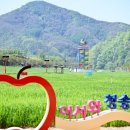 산소카폐 청송정원 (1) 이미지