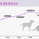 사랑-동행 이미지