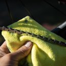 대한자동차정비세차 이미지