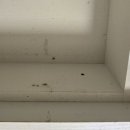 씨유제주 부영 7차점 | [제주입주청소] 삼화부영7차 입주청소 | 신혼부부를 위한 부분리모델링 클린작업