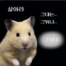 프레드피자 금천점 | 8월이 되면 좀 달라질까?