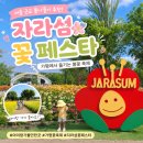 자라섬 관광안내소 | 2026 자라섬 꽃 페스타 후기｜주차·입장료·유모차·가평사랑상품권 총정리