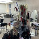 트리트멍멍 이미지