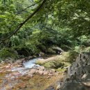 강아지풀애견펜션 이미지