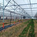 호동농장 이미지