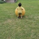 왓섬 이미지