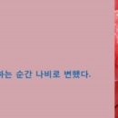 제이티인터내셔널코리아(주) - 종로구 종로2가 | 제이티인터내셔널코리아(주)