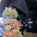 W1. 웨딩홀 vs 플래너, 뭐부터 해야 할까? (광주 웨딩홀 투어 글로리아/홀리데이 견적후기)