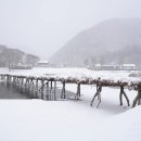 영월 주천면 섶다리 [펌] 이미지