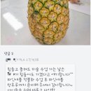 파리바게뜨북위례메디프라자 | 북위례초등미술