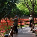 불갑사관광지 이미지