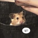 트루웨이브 | [250921 뮤지컬 트루스토리] 멋진 어른으로 객석에서 바라봐주기 2일차