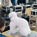 경기평생기술학원