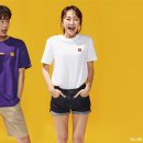 라인그래픽