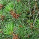 경화농장 이미지