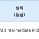 영어(OPIC) 이미지