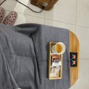 궁 사우나 | “양산 자연궁 효소찜질 후기｜주차, 복장, 샤워까지 솔직 정리