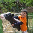 대연목장 이미지