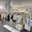 닥스키즈광양LF