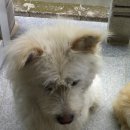 복대초교 이미지