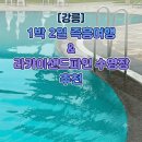 주문진짬뽕포차 | 강릉동화가든 평일 웨이팅, BTS정류장, 라카이샌드파인리조트, 강릉중앙시장 오징어순대, 엄지네포차 포장)