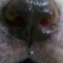 화이트스쿨 이미지