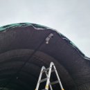 규정농장 이미지