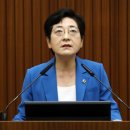 세종법의의원 이미지