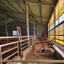 마농 민박 이미지