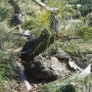 한솔농원 이미지