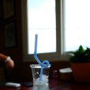 Cat garden 이미지