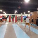 스타 복싱 다이어트 이미지