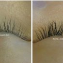 이미호아이래쉬 이미지