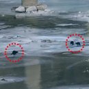 봉화정비공장 이미지