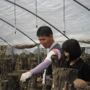 다경농장 이미지