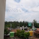 충효큰마을 이미지