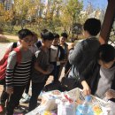 섬강초등학교 이미지