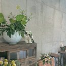 그린예식장 이미지