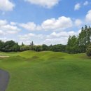 골프그룹알 이미지