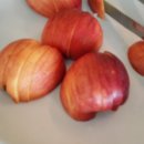 현미식당 이미지